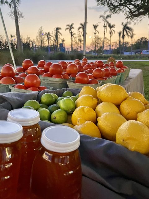 Produce and honey at sunset